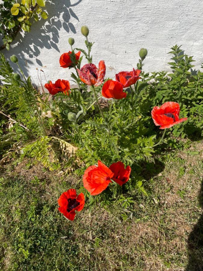 Kapelludden Oestra Oeland Villa Köpingsvik Exteriör bild